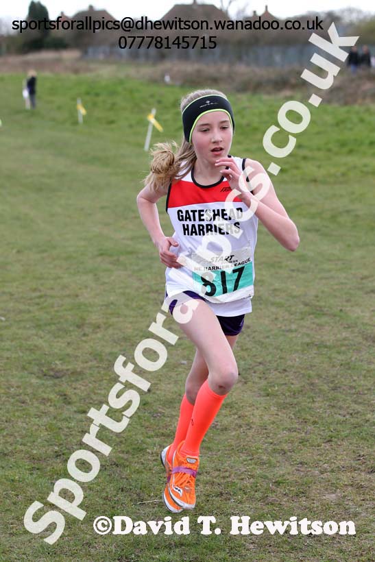 Under-13 girls NEHL Wrekenton, Gateshead. 2014 NEH, Wrekenton. Photo: David T. Hewitson/Sports for All Pics